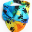 Foulard chat Foulard chien Cat scarf Dog scarf Pets accessories KFarah Paris' accessories Les accessoires KFarah Paris